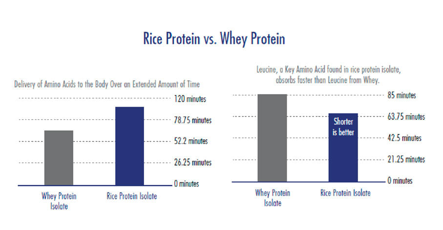 Vegan Pro - Proteína Vegetal - Aprenda Mais Vegan Pro
